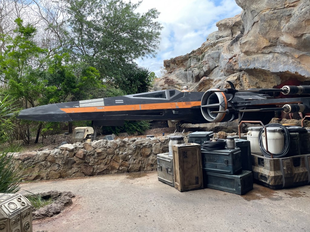 Disneyworld meets US Customs