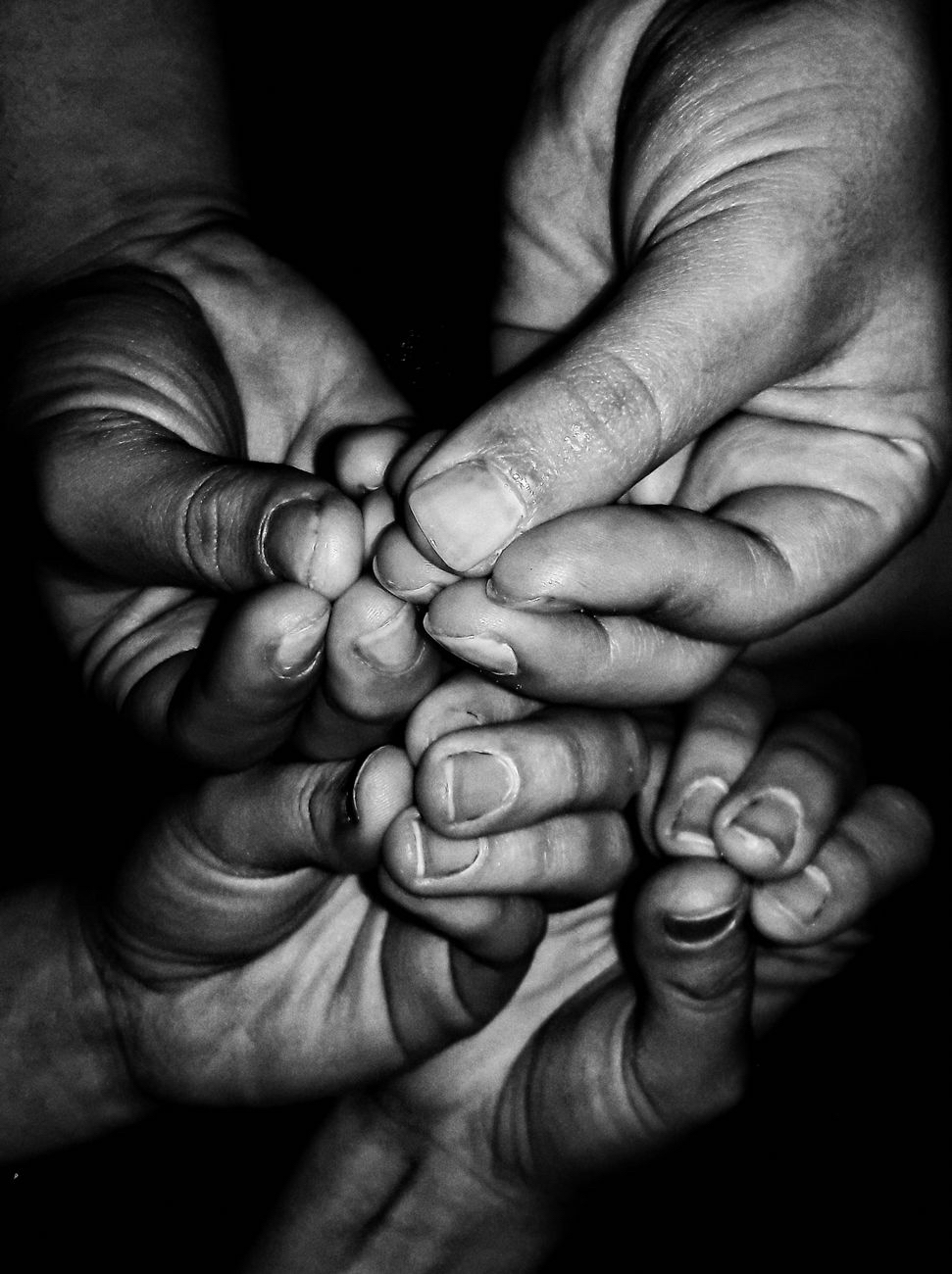What are humans?&nbsp;(Synthesis)